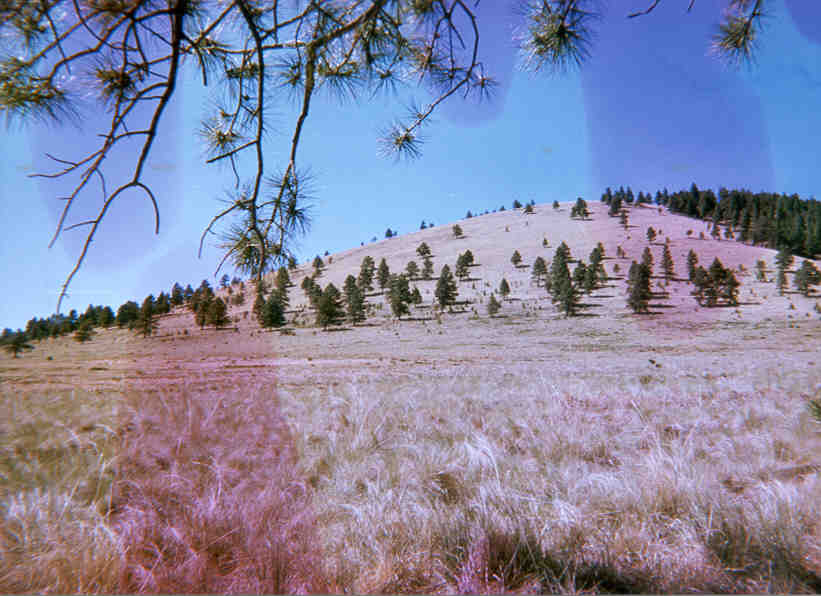 Antelope Hill I Colony