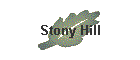 Stony Hill