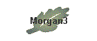 Morgan3