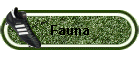 Fauna