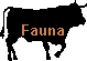 Fauna