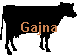 Gajna