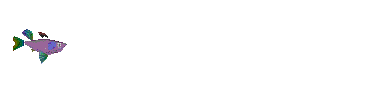 Swimming fish