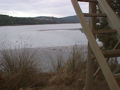 laguna_torca.jpg