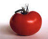 foto of a tomato