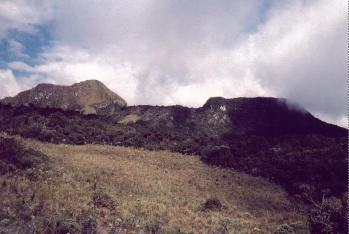 Cerro de la Torre (Julio, 1996)