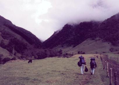 Valle de Cocora (Enero, 1999)