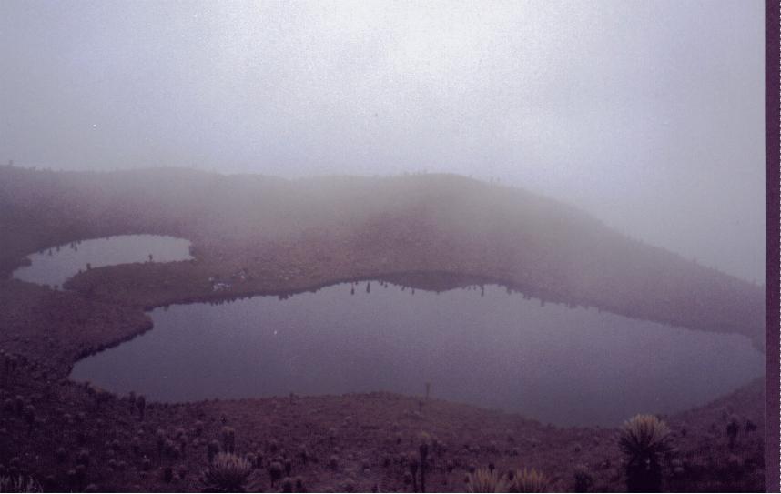 Laguna del Encierro (Enero, 1999)