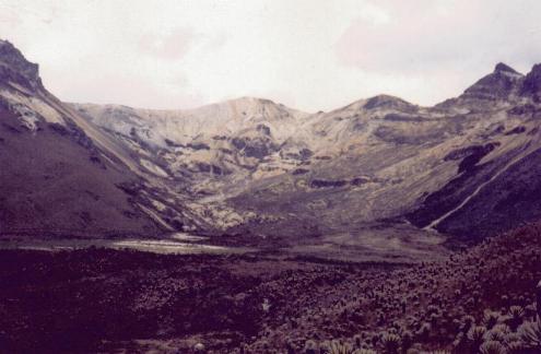 Pantanos y Arenales del Quindo (Enero, 1998)