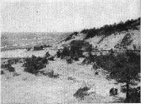 Diana of the Dunes' 1st Ogden Dunes shack