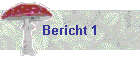 Bericht 1