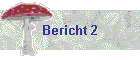 Bericht 2