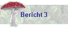 Bericht 3