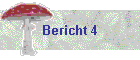 Bericht 4