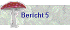 Bericht 5