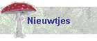 Nieuwtjes