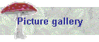 Picture gallery