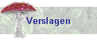 Verslagen