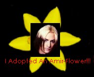 I got an Amir Flower!!