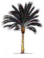 palmtree.gif