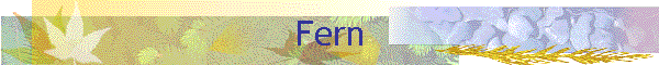 Fern