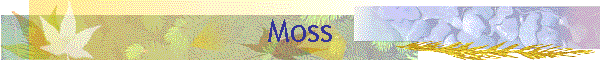 Moss