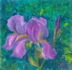 Iris. Oil,canvas, 8x8 in.