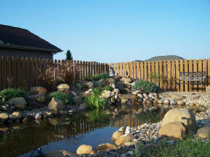 Our_Pond_Project_158.jpg