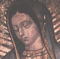 Enlace a Inter Lupe / El web de la Virgen de Guadalupe