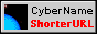CyberName