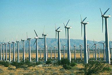 windfarm.jpg (31480 bytes)