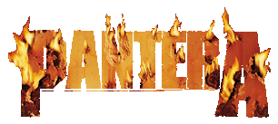 panteralogo.gif (20823 bytes)