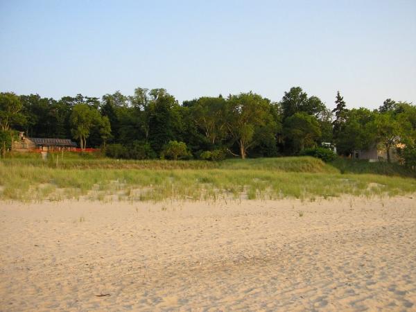 The view of the dunes from the lake shore