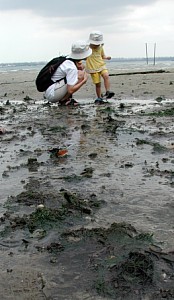 Mud mud everywhere...