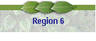 Region 6