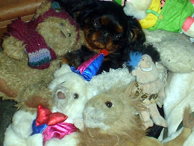Missy with her plush toys