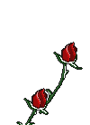 roses.gif (15521 bytes)