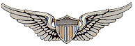Army Aviator Badge - Thanks Polecat :)