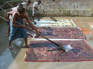 carpetwashing.jpg