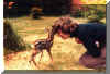 bambi.jpg (48088 bytes)
