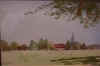 cricket.jpg (31575 bytes)