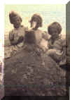 three build a castle.jpg (49432 bytes)