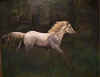 whitehorse.jpg (116215 bytes)