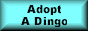 Adopt a Dingo