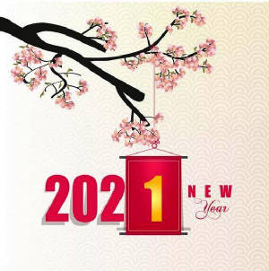 2021_hoadao_st.jpg