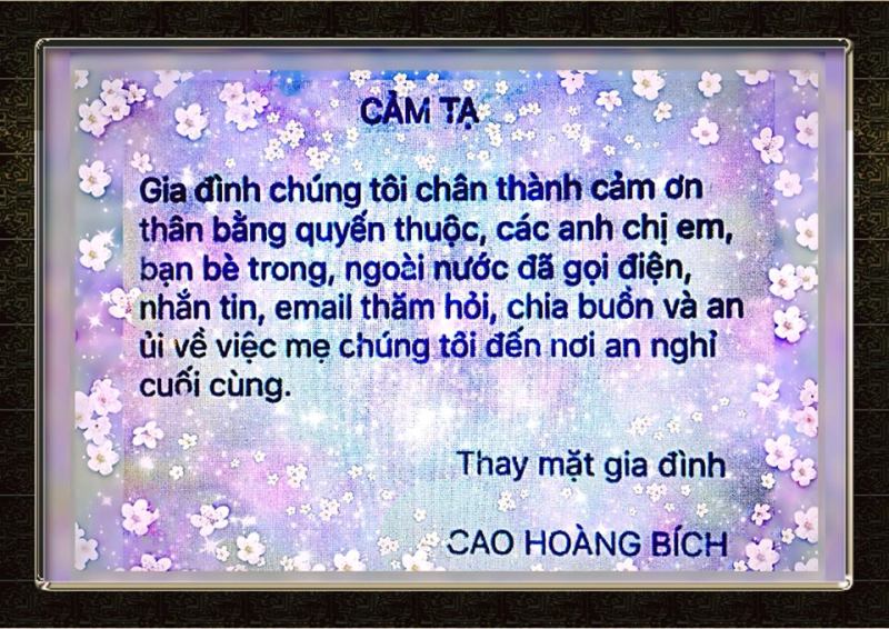 camta_caohoangbich.jpg