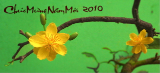 cmnm2010_2bongmai.jpg