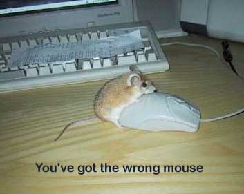 wrongmouse.jpg