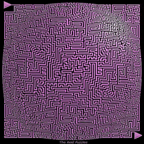 maze2006.gif