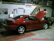 Ford Mustang Dyno Pictures at Speed Engineering.